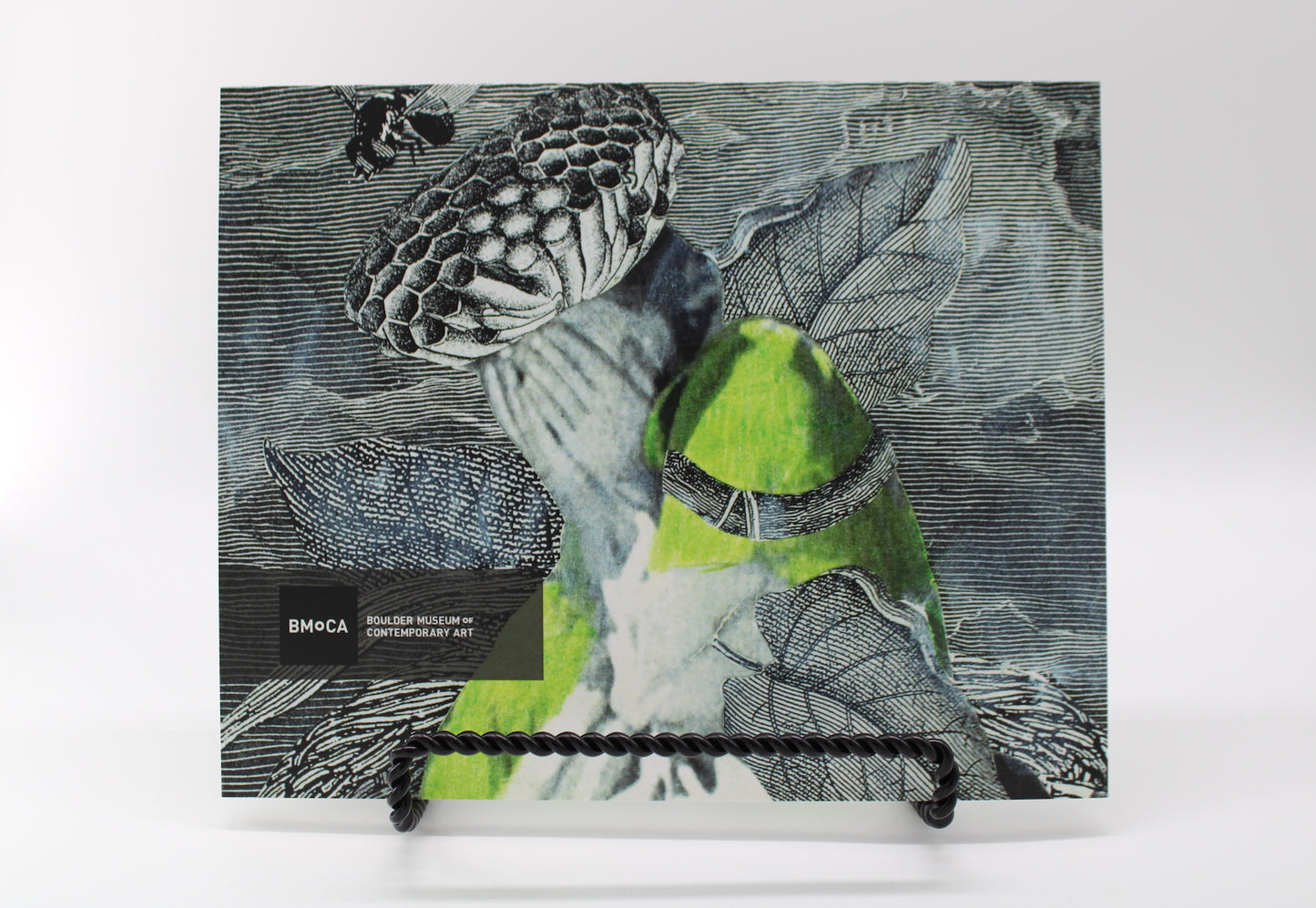 Night Reels: The Work of Stacey Steers