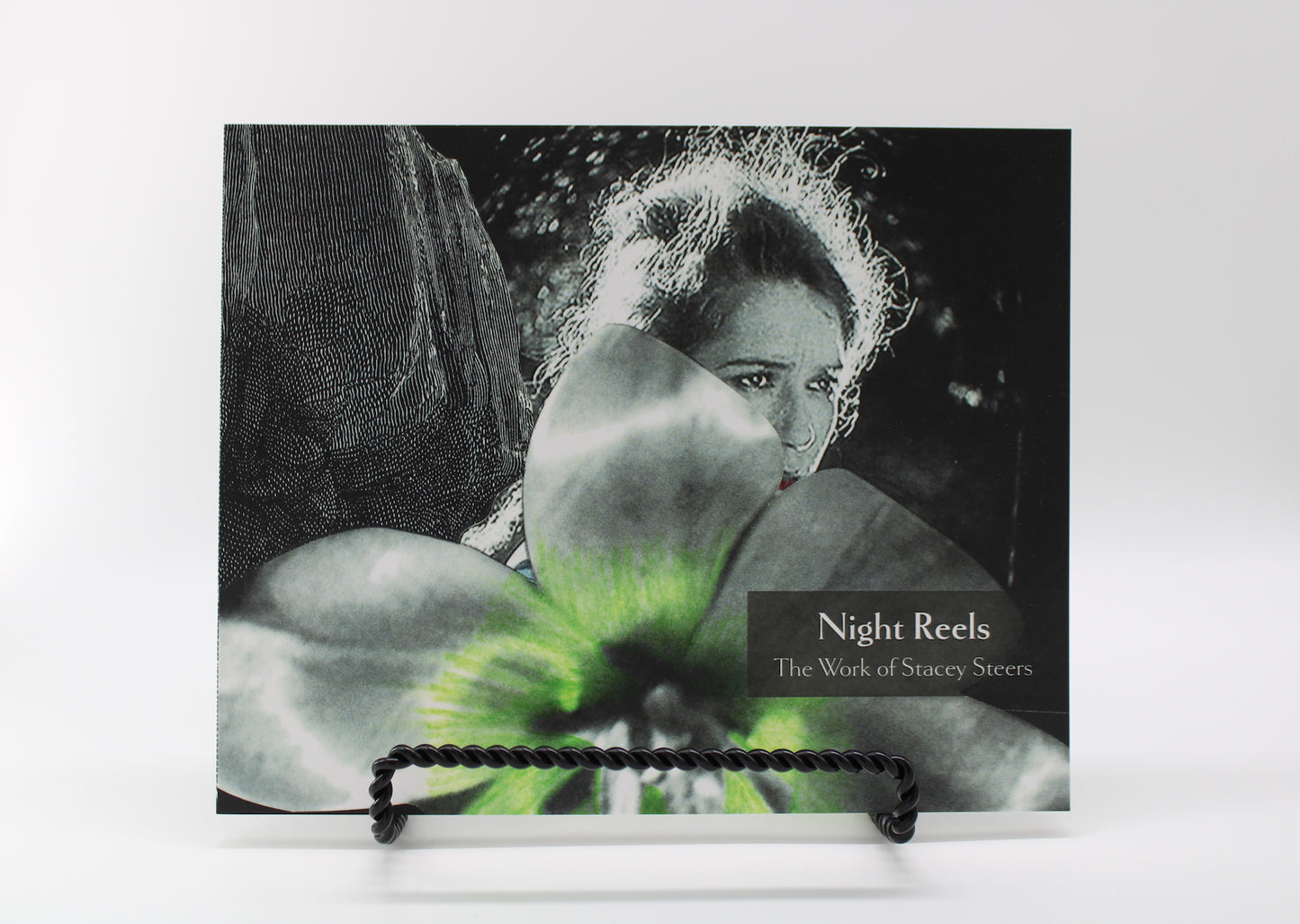 Night Reels: The Work of Stacey Steers