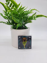 Load image into Gallery viewer, Strike Gently Pins