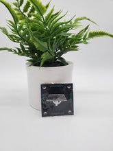 Load image into Gallery viewer, Strike Gently Pins