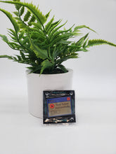 Load image into Gallery viewer, Strike Gently Pins