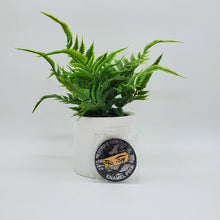 Load image into Gallery viewer, Strike Gently Pins