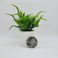 Load image into Gallery viewer, Strike Gently Pins