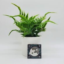 Load image into Gallery viewer, Strike Gently Pins