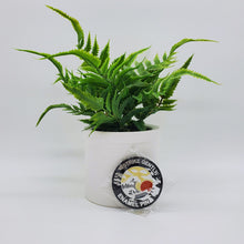 Load image into Gallery viewer, Strike Gently Pins