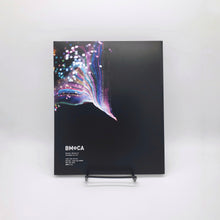 Load image into Gallery viewer, Dazzle of Darkness: The Redemption of The Shadow - BMoCA Catalog