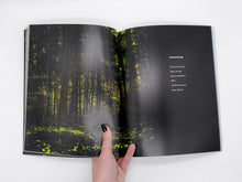 Load image into Gallery viewer, Dazzle of Darkness: The Redemption of The Shadow - BMoCA Catalog