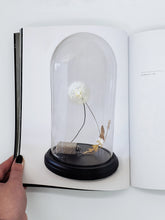 Load image into Gallery viewer, Dazzle of Darkness: The Redemption of The Shadow - BMoCA Catalog