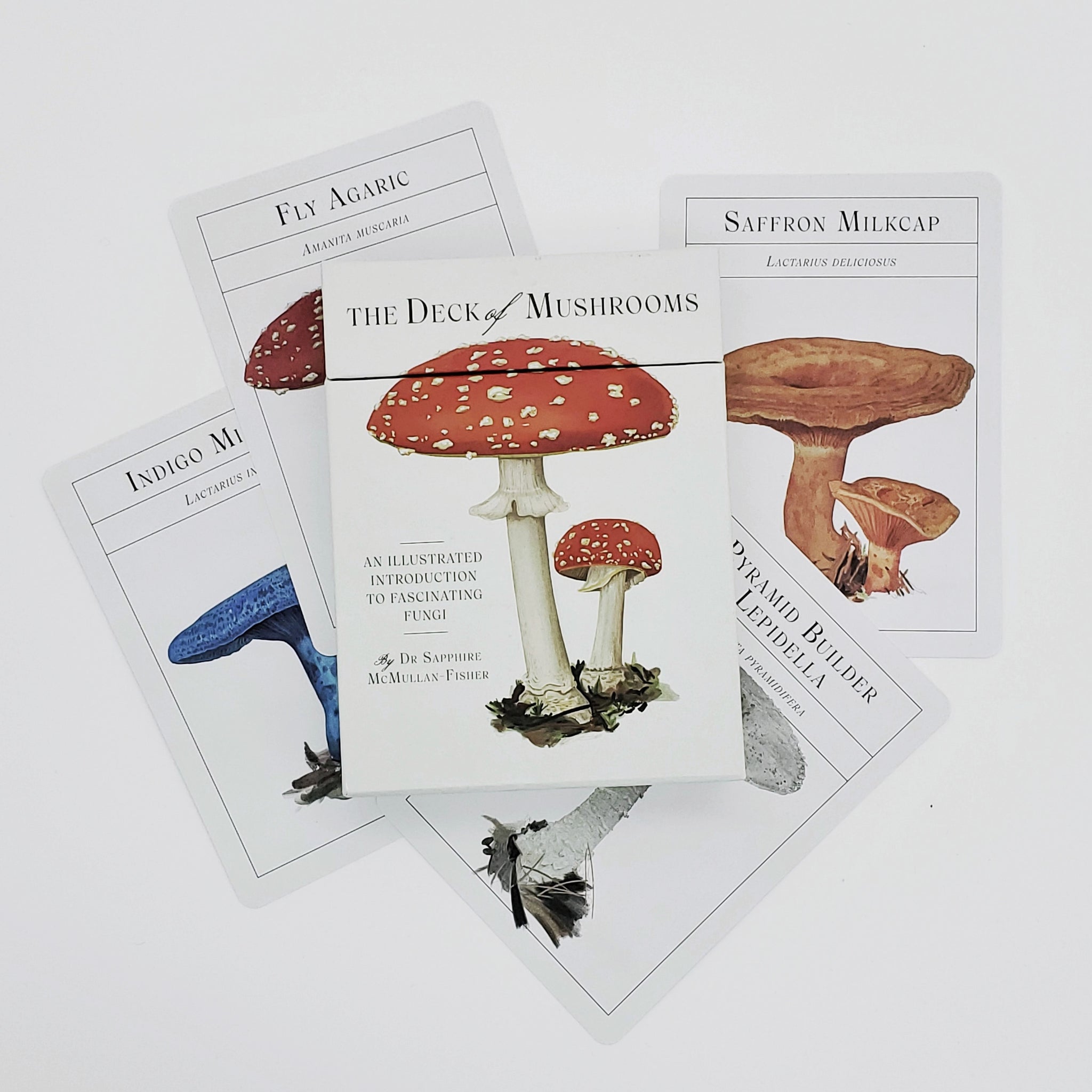 The Deck of Mushrooms – BMoCA