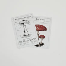 Load image into Gallery viewer, The Deck of Mushrooms
