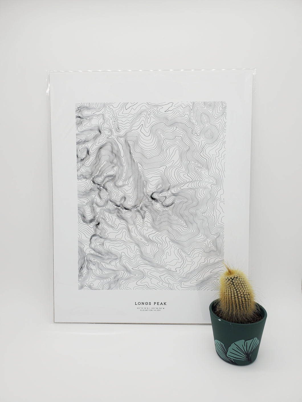 Longs Peak Topographic Map - 11x14